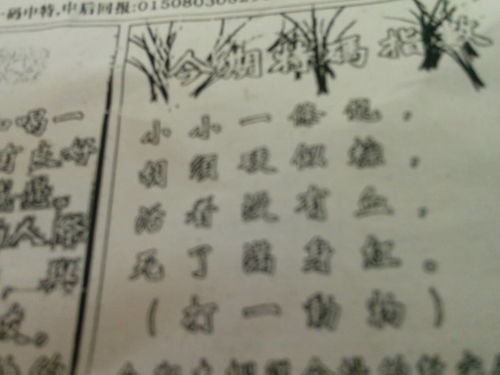 解密劉伯溫平特一肖中的奧秘——探尋古代預(yù)測(cè)智慧的蹤跡，解密劉伯溫平特一肖，探尋古代預(yù)測(cè)智慧的奧秘與蹤跡