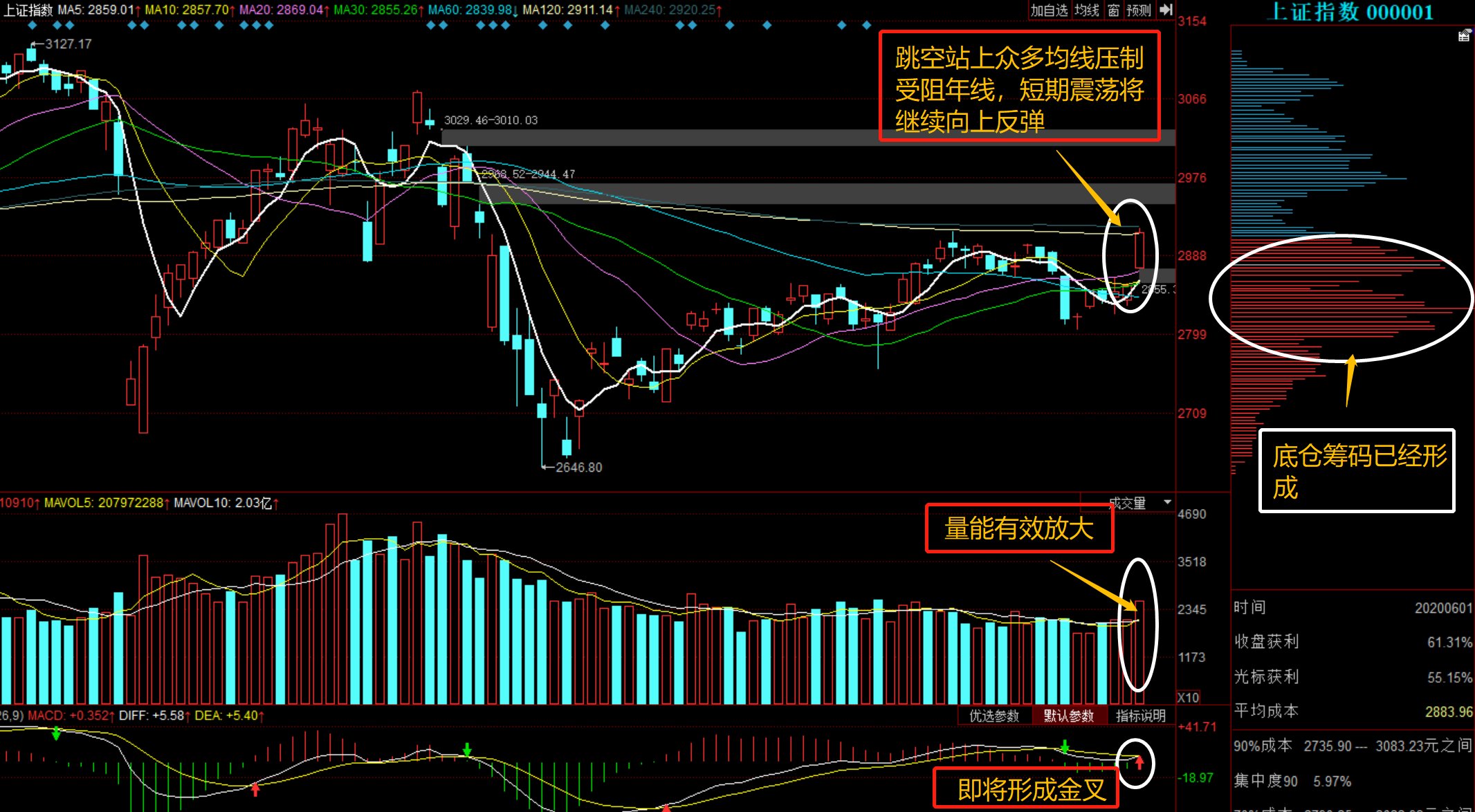 關(guān)于股票行情分析，聚焦代碼為002208的股票動(dòng)態(tài)，股票行情分析，聚焦代碼為002208的動(dòng)態(tài)走勢(shì)觀察