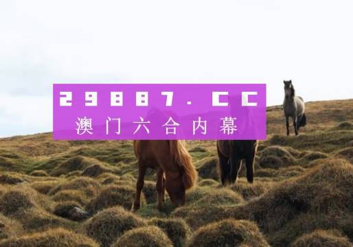 澳門開獎結(jié)果2023年全面解析，澳門開獎結(jié)果2023年全面解析及預(yù)測報(bào)告