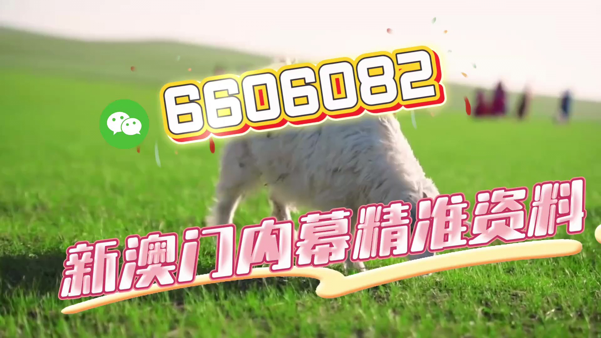 澳門今晚必開一肖一特，揭秘生肖彩票的魅力與策略，澳門生肖彩票揭秘，必開一肖一特的魅力與策略探討