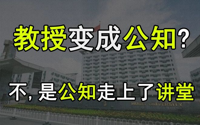 關(guān)于美英日停發(fā)中國人簽證的探討，美英日暫停中國人簽證，國際趨勢下的探討與影響