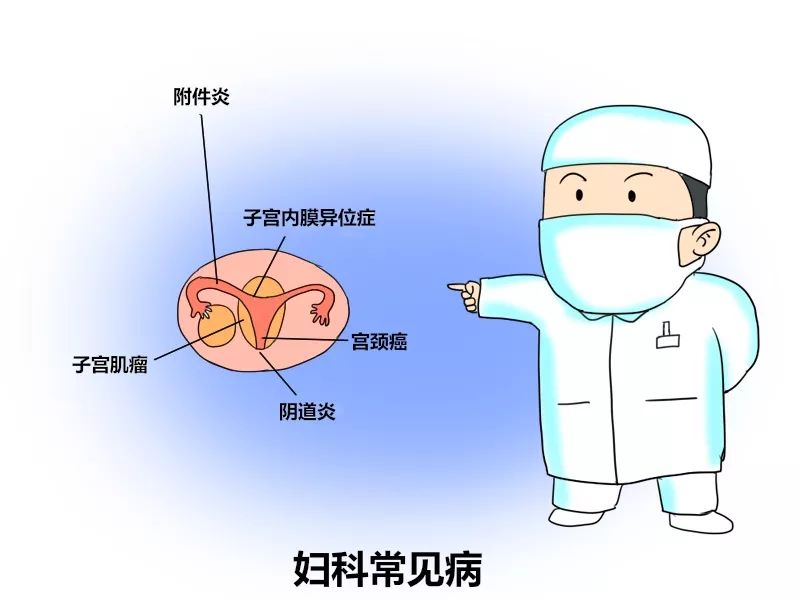 關(guān)于婦科疾病，了解、預(yù)防與治療的重要性，婦科疾病，了解、預(yù)防與治療的重要性全解析