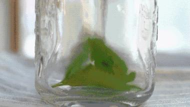 蜂蜜雞蛋清去皺的三種方法，自然美容的最佳選擇，蜂蜜雞蛋清去皺秘訣，自然美容最佳良方揭秘