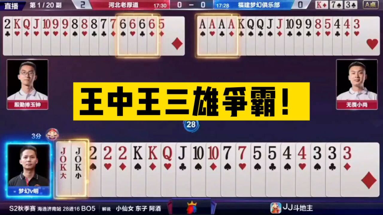 王中王高手資料解析，一肖中的秘密，王中王高手資料深度解析，揭秘一肖中的奧秘